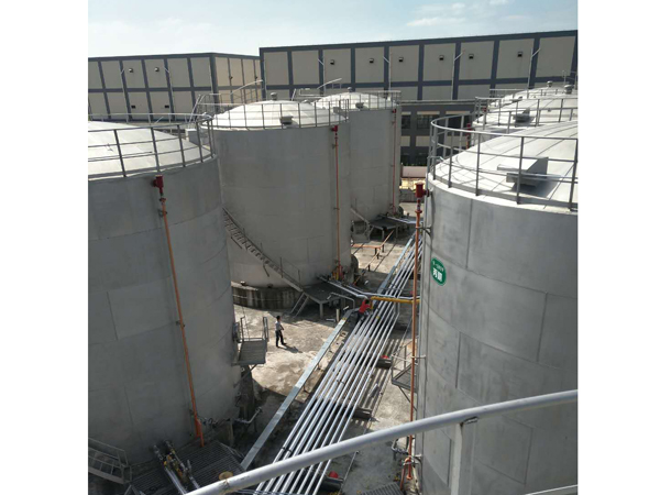 �͑�(h��)����2